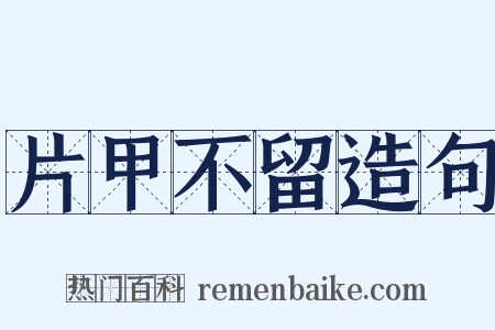 片甲不留造句是什么意思的图片